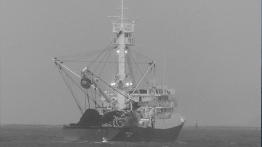 A tuna vessel